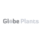 Globe Plants